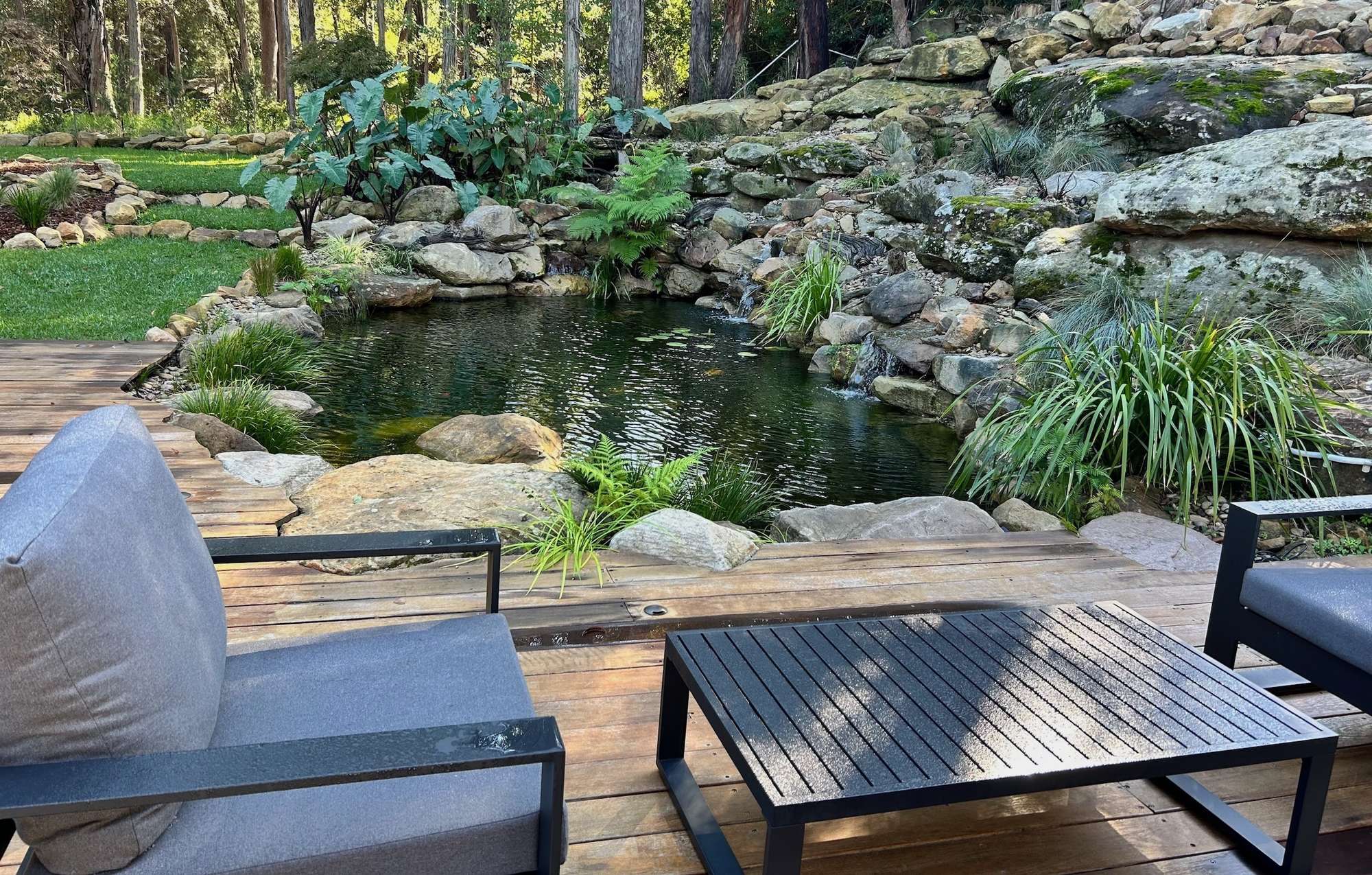 Castle Hill Bush Setting Koi Pond