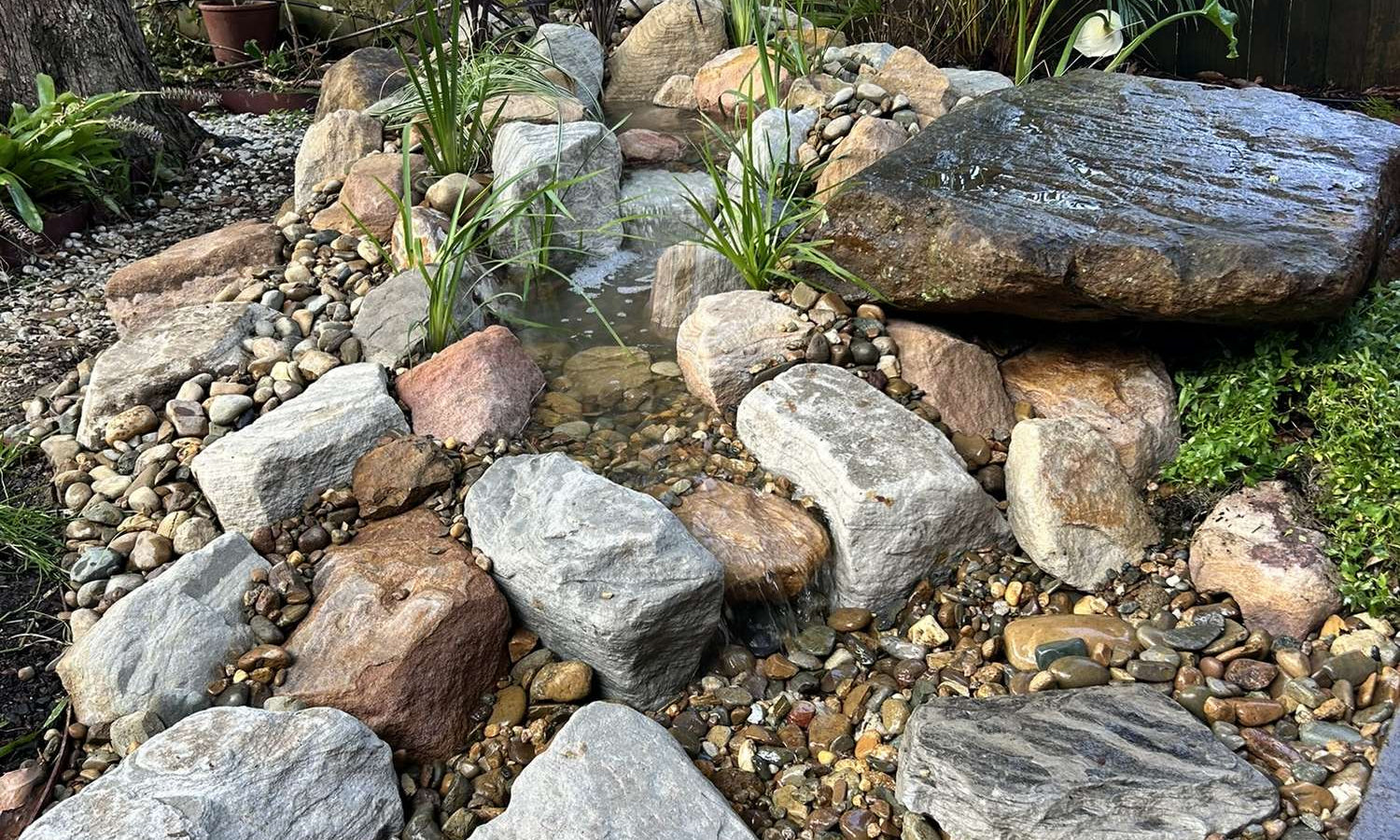 Mount Kuring-Gai – Front Entry Stream