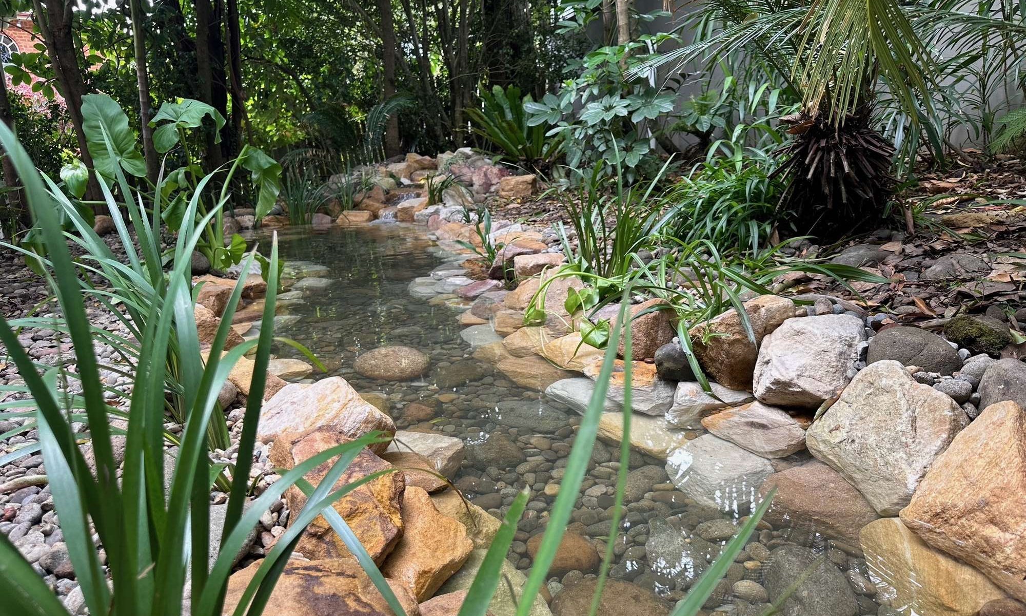 Vaucluse Front Yard Jungle Paradise