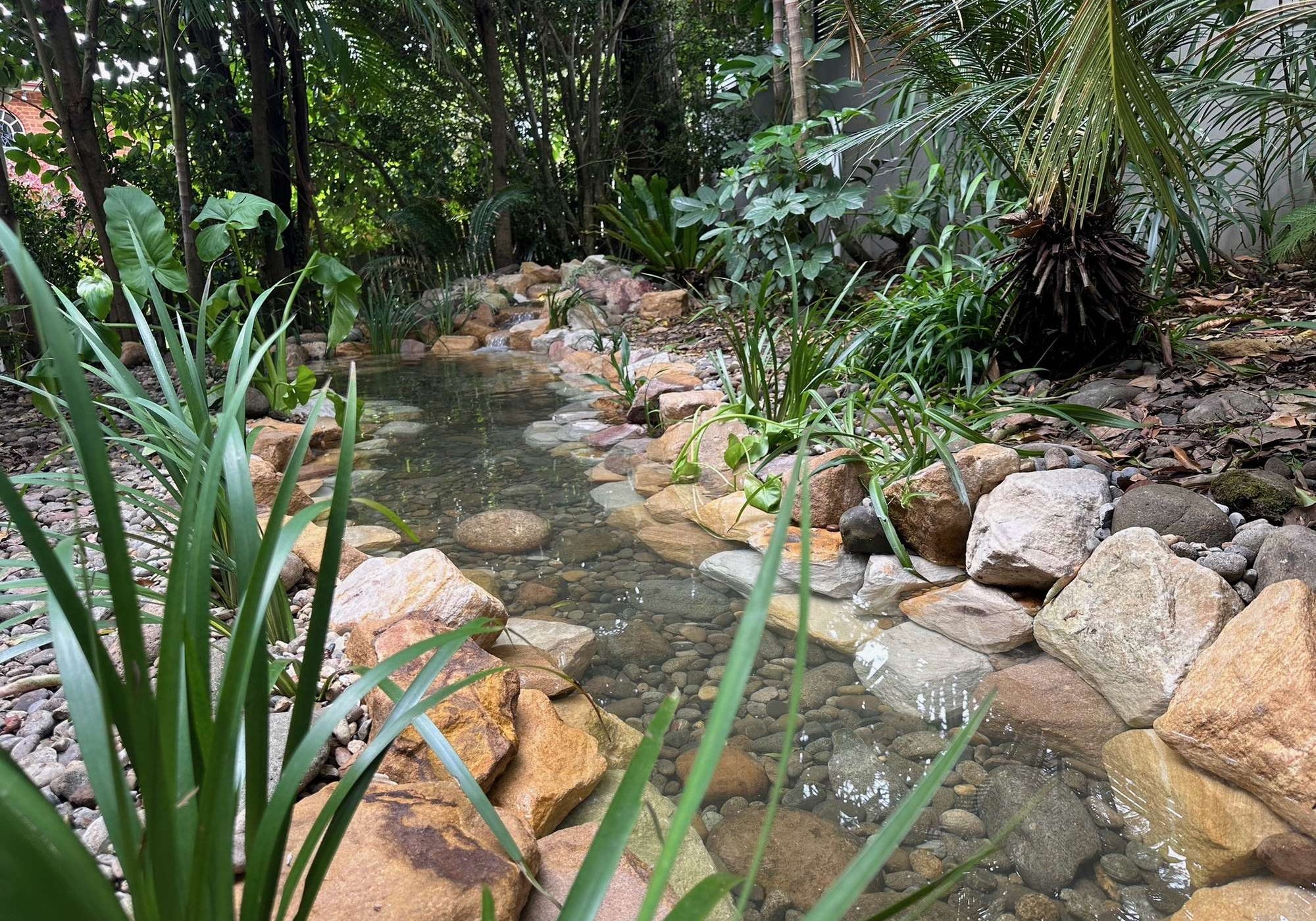 Vaucluse Front Yard Jungle Paradise