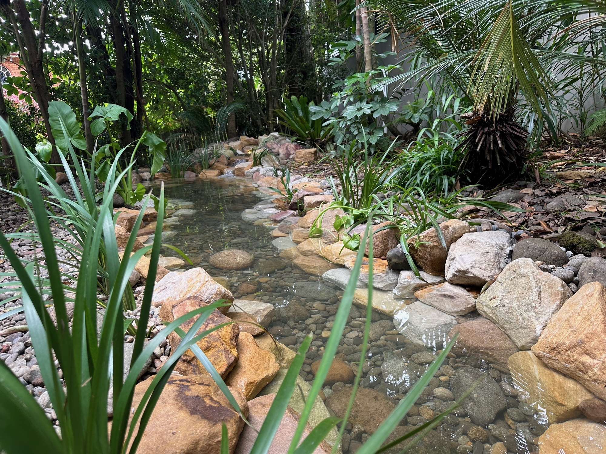 Vaucluse Front Yard Jungle Paradise